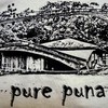 Puna_4_pure_puna