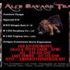 Ali's Savage Traits Flyer 2012