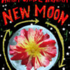 AGA 2013: Avant-Garde-Arama: New Moon